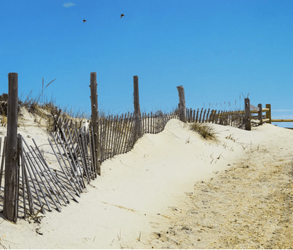 Surf City